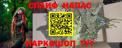 твердый Будённовск