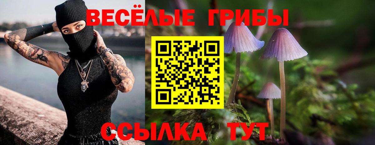 Галлюциногенные грибы прущие грибы  Галлюциногенные грибы Psilocybe  Вход с VPN  продажа наркотиков  Назрань 