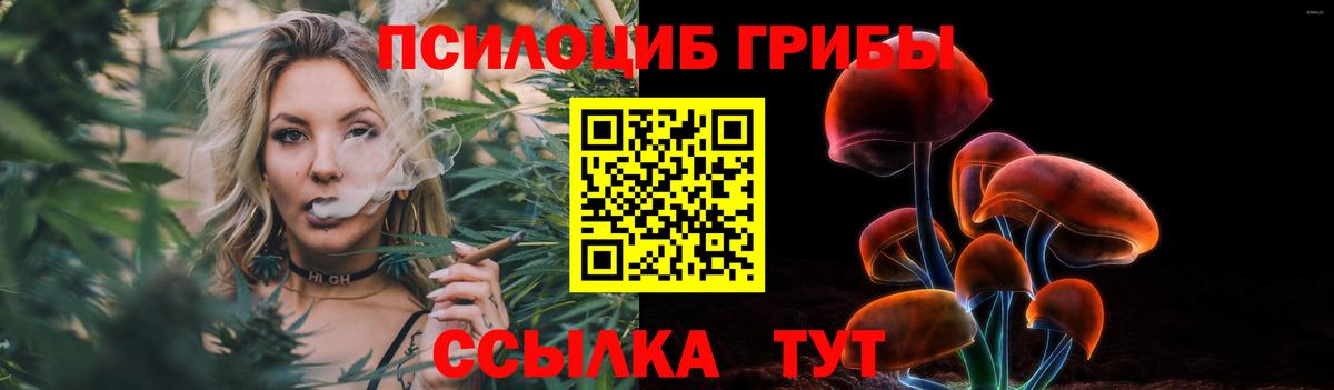 Псилоцибиновые грибы Psilocybine cubensis Назрань
